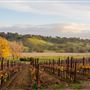 Santa Ynez
