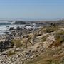 Pacific Grove