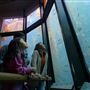 Monterey Bay Aquarium