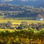 Chalk Hill Estate Vineyards & Winery
