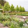 DeLoach Winery