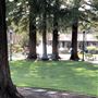 Los Gatos