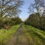 Delta Meadows Park Property