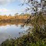Delta Meadows Park Property