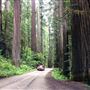 Howland Hill Road