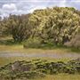 Fort Ord National Monument