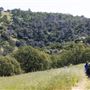 New Melones Reservoir and Stevnot Bridge