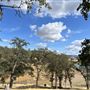New Melones Reservoir and Stevnot Bridge