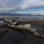 Salton Sea State Recreation Area (SRA)