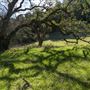Fremont Peak State Park (SP)