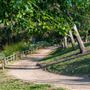 Laguna Niguel Regional Park