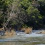 Lake Del Valle State Recreation Area (SRA) - East Bay Regional Park District