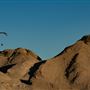 Ocotillo Wells State Vehicular Recreation Area (SVRA)