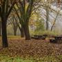 Colusa-Sacramento River State Recreation Area (SRA)