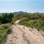 Whiting Ranch Wilderness Park
