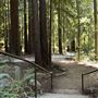 Pfeiffer Big Sur State Park (SP)
