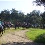 Wildwood Canyon Park Property
