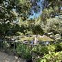 Storrier Stearns Japanese Garden