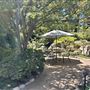 Storrier Stearns Japanese Garden