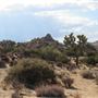 Yucca Valley