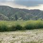Bracaccini Ranch Property - 50 acres open field / Ranch House / Barns