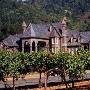 Ledson Winery