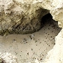 Leo Carrillo State Park and Beach (SP)