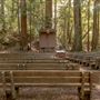 Portola Redwoods State Park (SP)