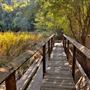 Palomar Mountain State Park (SP)