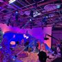 OBB Studios