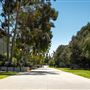 Occidental College - Oxy