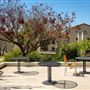 Occidental College - Oxy
