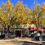 Murphys Main Street
