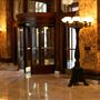 Fairmont San Francisco