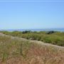 El Pescador State Beach @ Robert H. Meyer Memorial State Beach (SB) - CFC