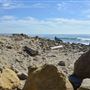 El Pescador State Beach @ Robert H. Meyer Memorial State Beach (SB) - CFC