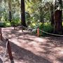 Descanso Gardens