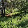 Descanso Gardens