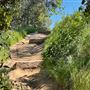 Descanso Gardens