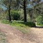Descanso Gardens
