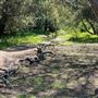 Descanso Gardens