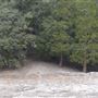 Crystal Lake Recreation Area / Campground - Angeles National Forest