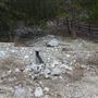 Crystal Lake Recreation Area / Campground - Angeles National Forest