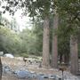 Crystal Lake Recreation Area / Campground - Angeles National Forest
