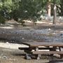 Crystal Lake Recreation Area / Campground - Angeles National Forest