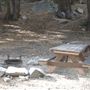 Crystal Lake Recreation Area / Campground - Angeles National Forest