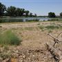 Mojave Narrows Regional Park