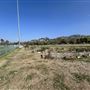 Rio de Los Angeles State Park (SP) - Taylor Yard - Inter Agency - LA City Parks & CA State Parks