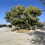 Rio de Los Angeles State Park (SP) - Taylor Yard - Inter Agency - LA City Parks & CA State Parks
