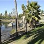 La Brea Tar Pits - George Page Museum